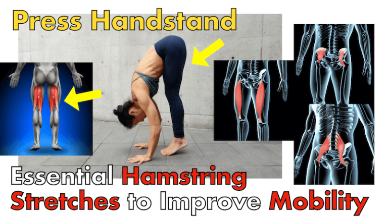 Tight Hamstrings? Stretches for Hamstring Flexibility and Hip Mobility ...
